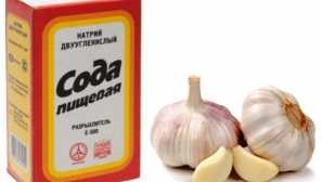 Sol in soda iz opisa bolh, obdelave, učinkovitosti